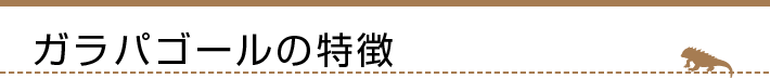 ガラパゴールの特徴